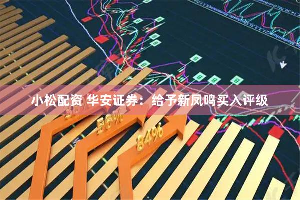 小松配资 华安证券：给予新凤鸣买入评级