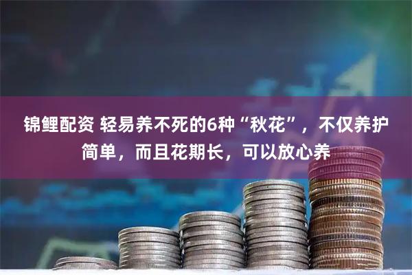 锦鲤配资 轻易养不死的6种“秋花”，不仅养护简单，而且花期长，可以放心养
