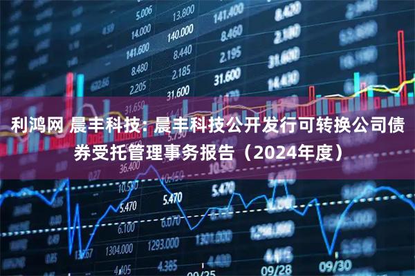 利鸿网 晨丰科技: 晨丰科技公开发行可转换公司债券受托管理事务报告（2024年度）