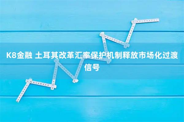 K8金融 土耳其改革汇率保护机制释放市场化过渡信号