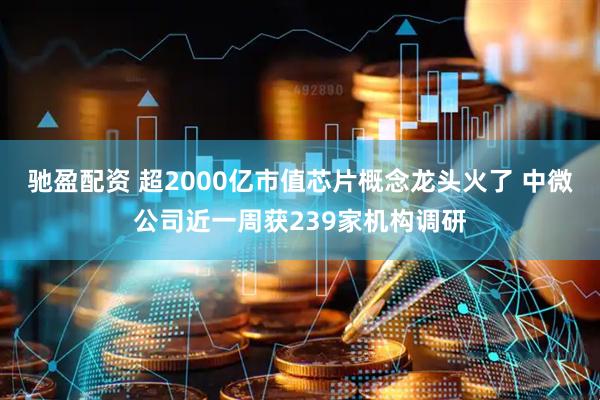 驰盈配资 超2000亿市值芯片概念龙头火了 中微公司近一周获239家机构调研